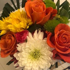 Meet your Posher, Annie